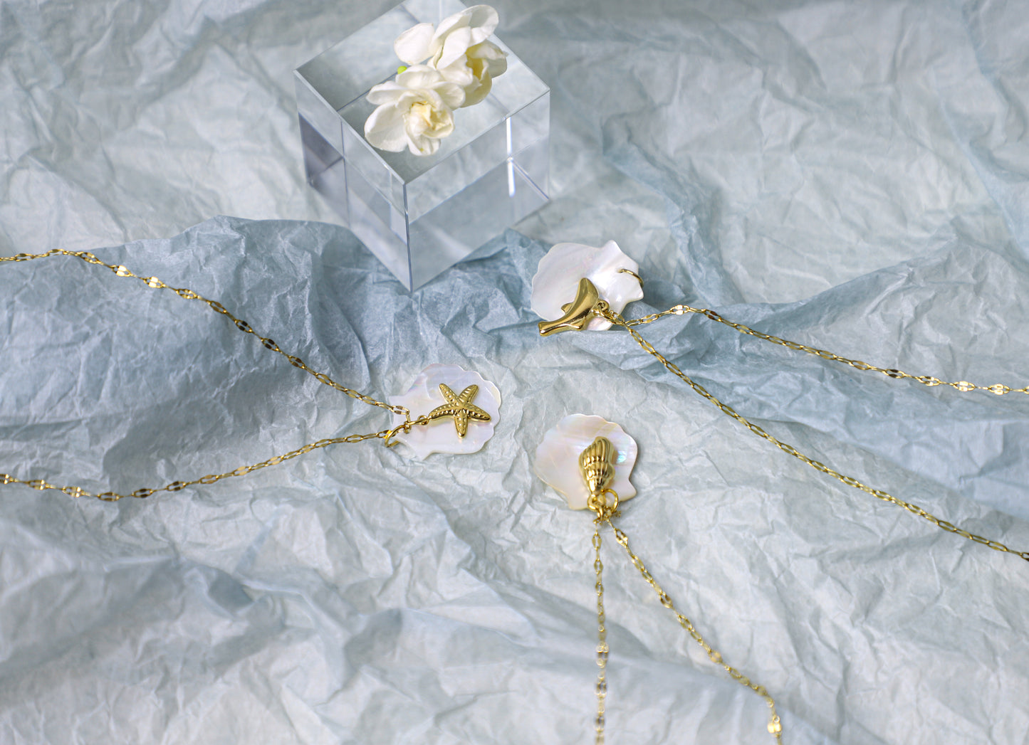 sea shell necklace