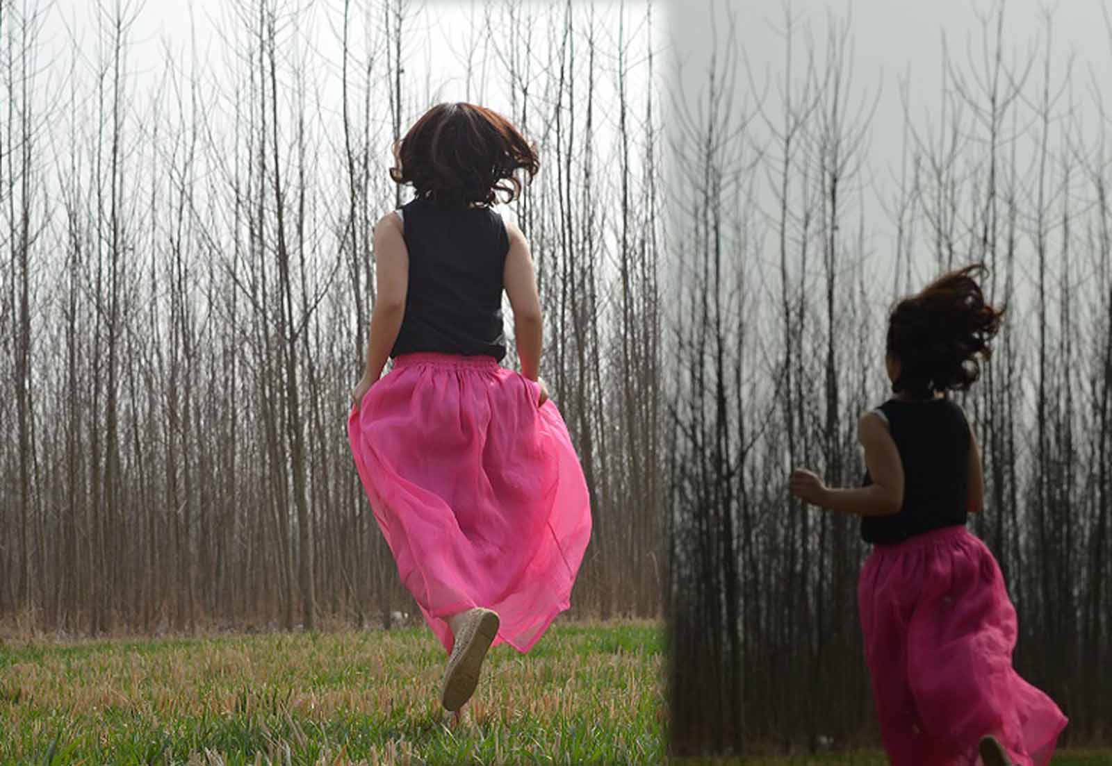 edoa Silk Organza Skirt with Hand Ebroidery 