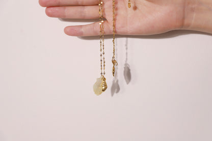 Sea Shell Clavicle Chain Necklace ne0013