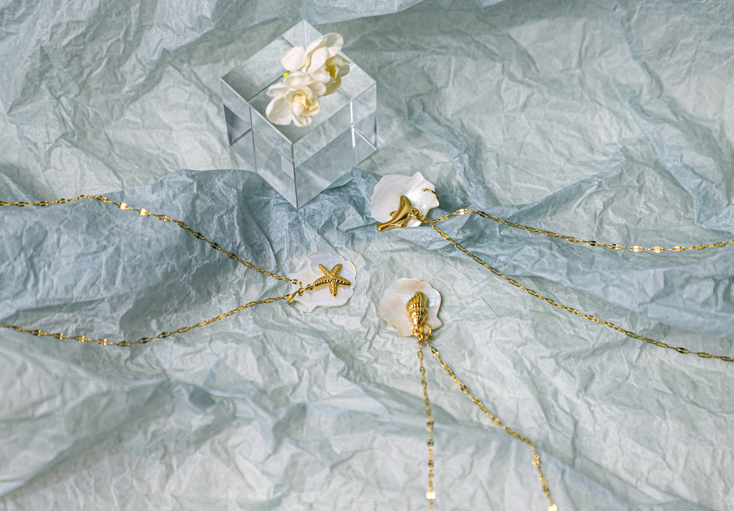 sea shell necklace