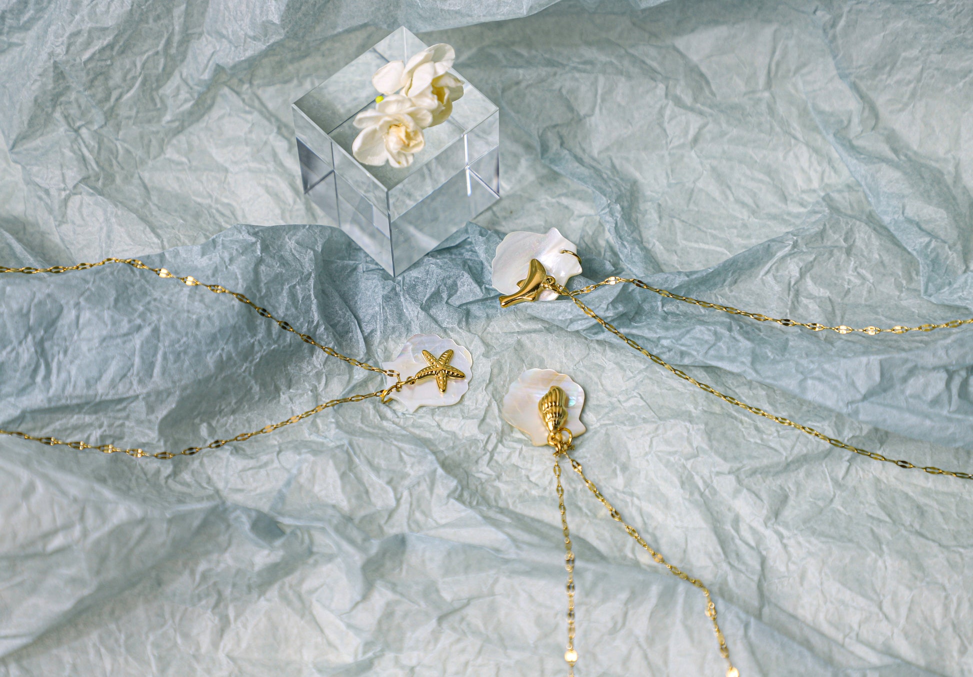 sea shell necklace
