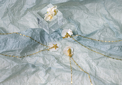 sea shell necklace