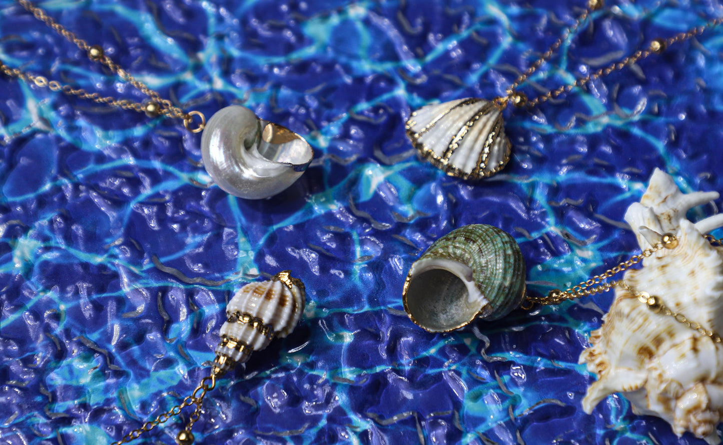 edoa Riviera Gold Dipped Conch Necklace