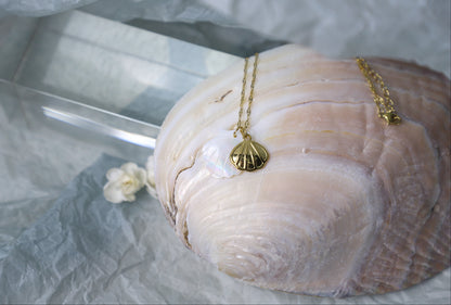 sea shell necklace