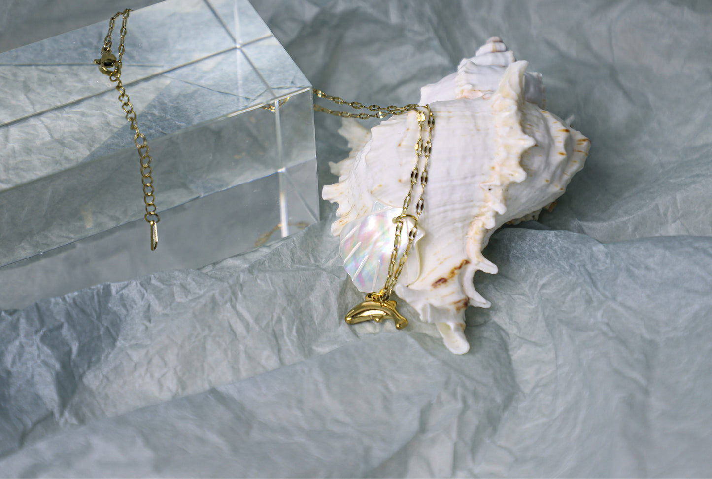 sea shell necklace