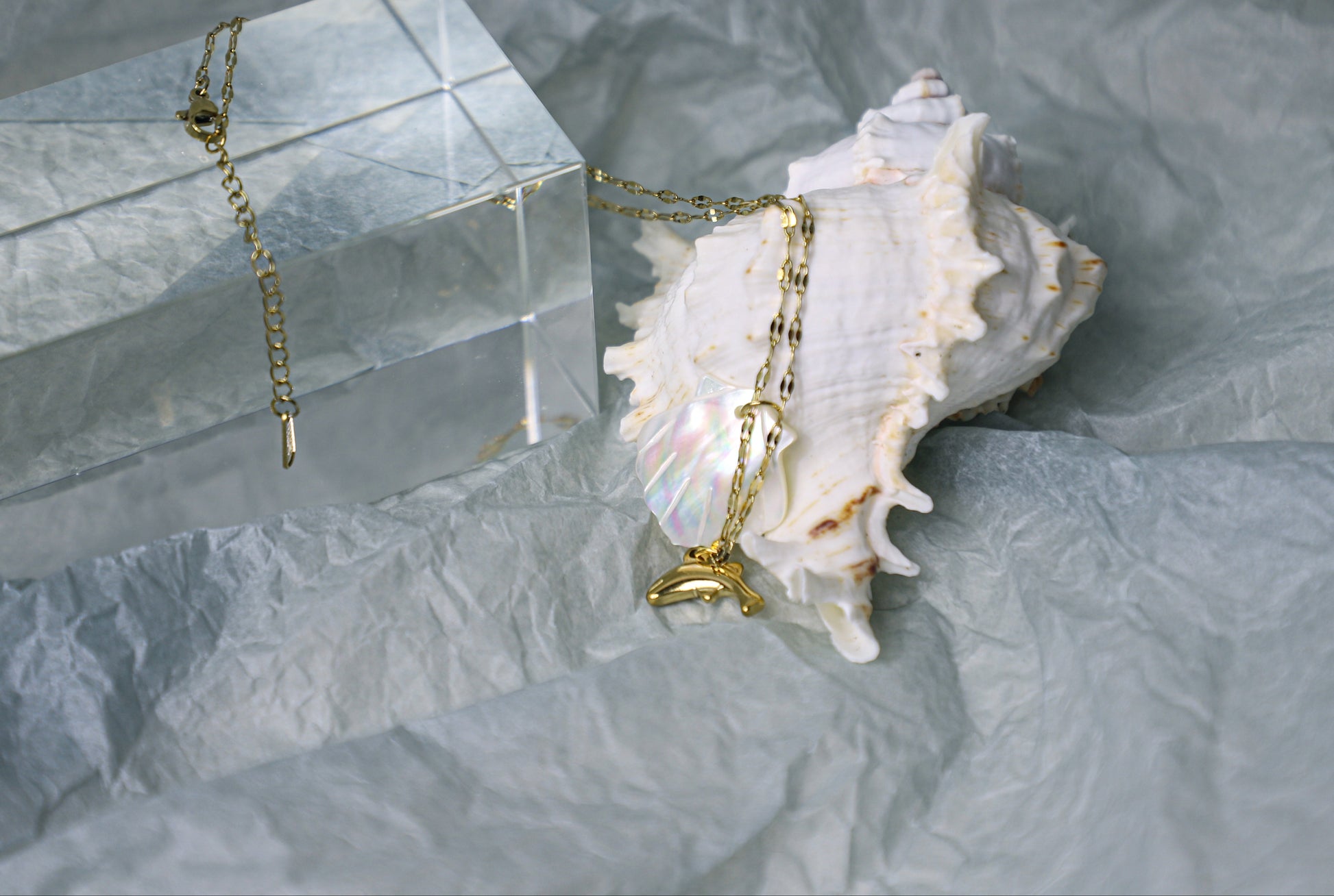 sea shell necklace