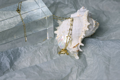 sea shell necklace