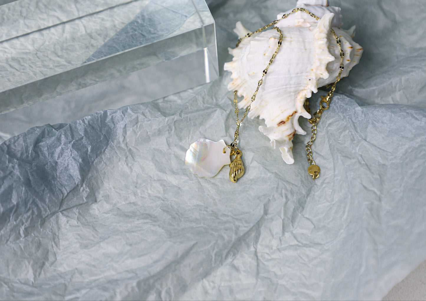 sea shell necklace