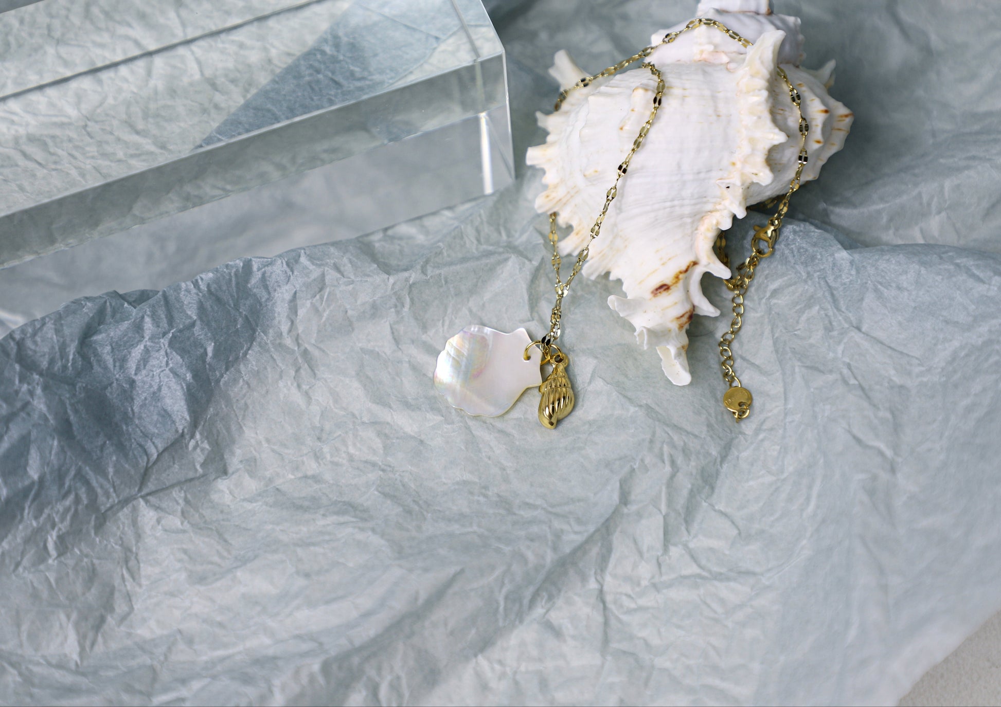 sea shell necklace