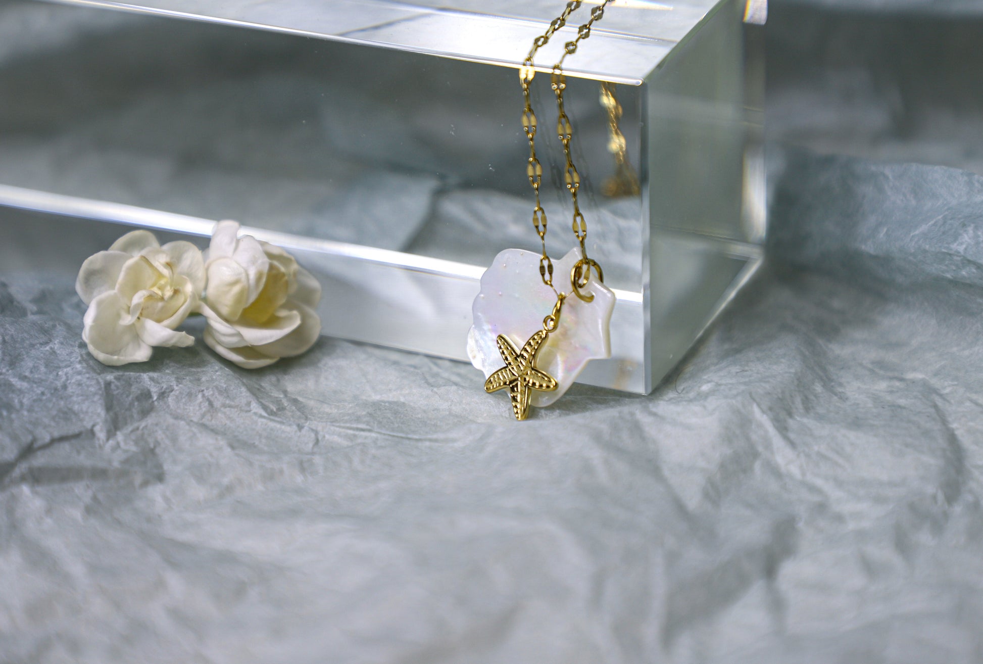 sea shell necklace