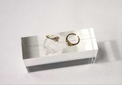 Toi et Moi birthstone ring